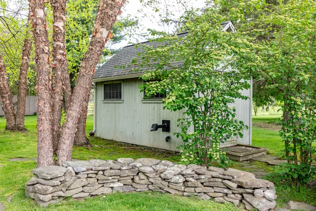 a view of a backyard with plants and large tree