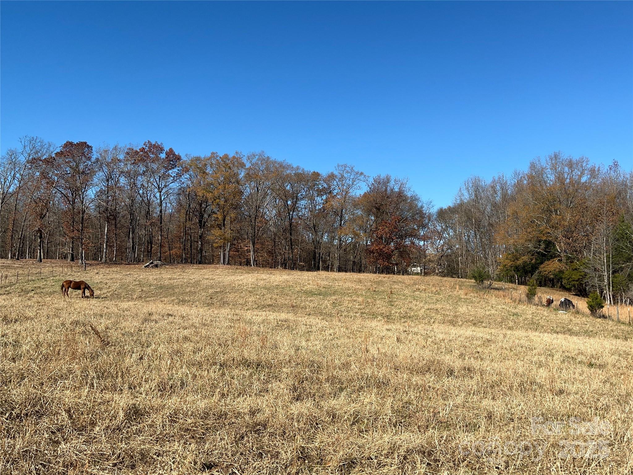 0 Misty Pond Road Marshville, NC 28103 - Photo 2 of 6 a view of a yard with trees in the background