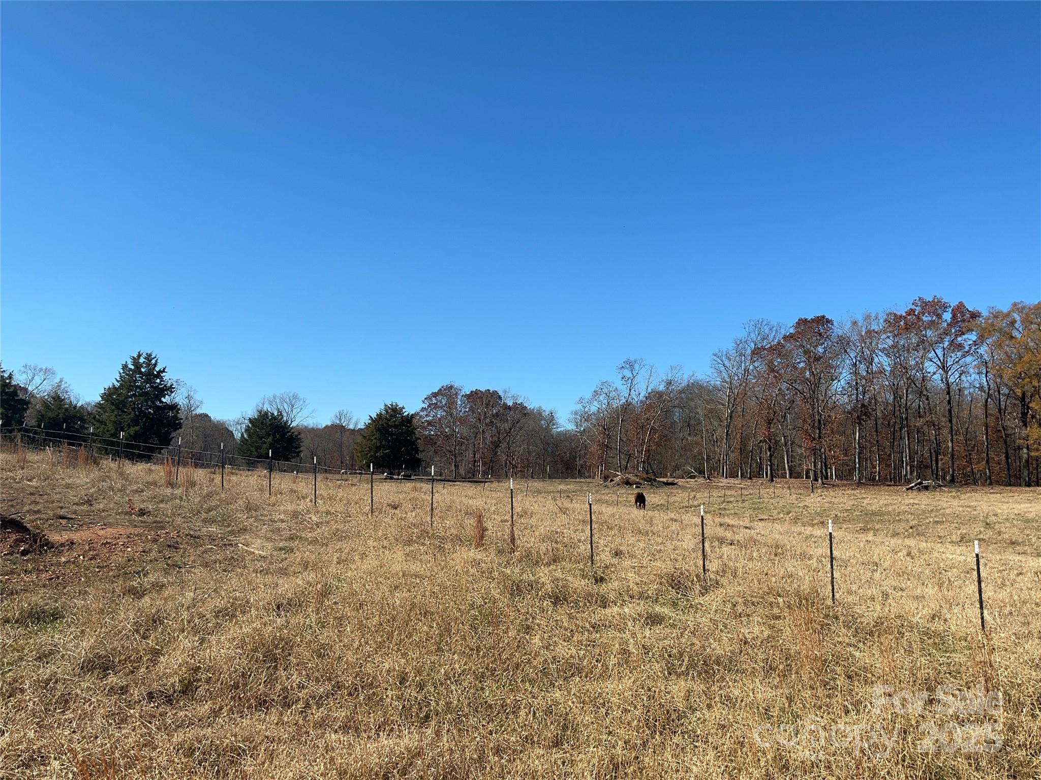 0 Misty Pond Road Marshville, NC 28103 - Photo 4 of 6 a view of a field with trees in background