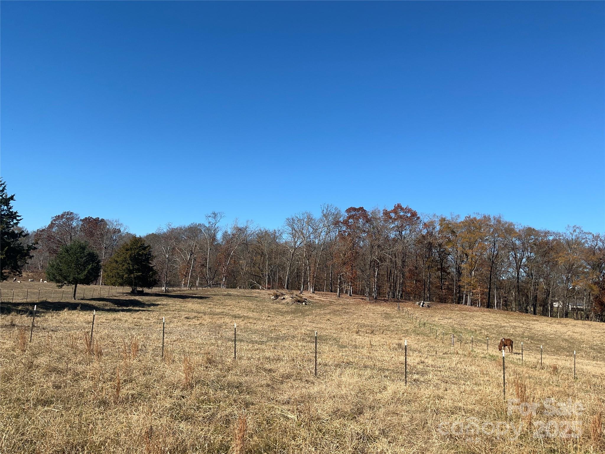 0 Misty Pond Road Marshville, NC 28103 - Photo 5 of 6 a view of a outdoor space with mountain view