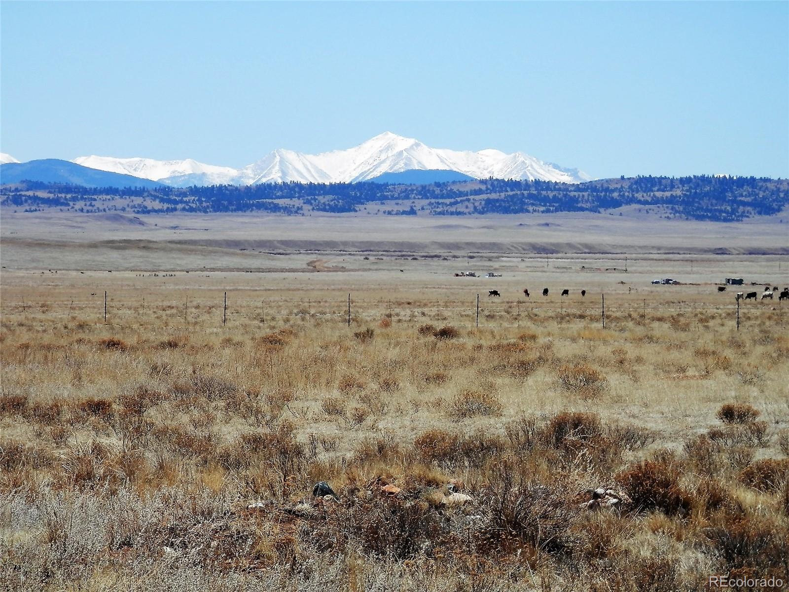 845 Montoya Road Lake George, CO 80827 - Photo 29 of 35 a view of a and mountain