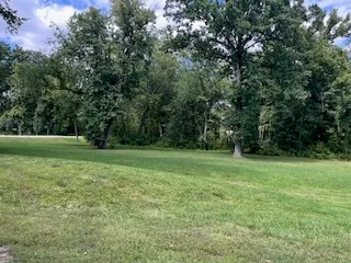 a view of a grassy field with trees