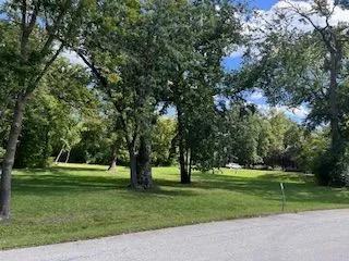 a view of a park with tree s
