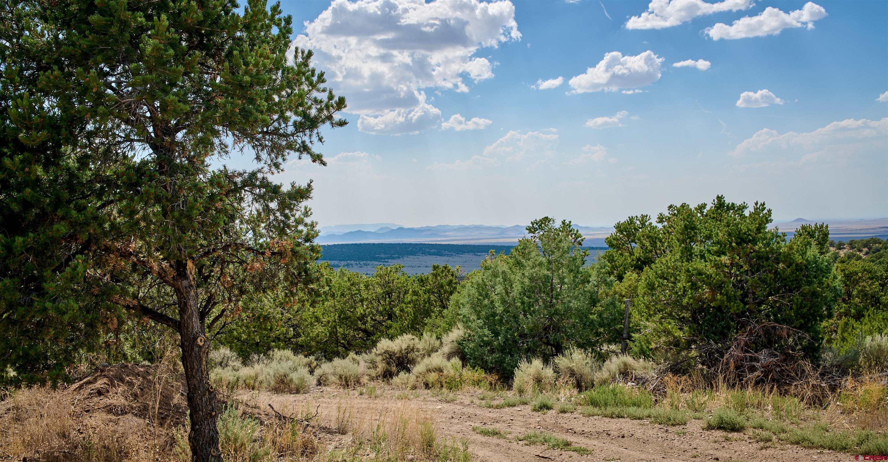 1380 Dunn Road Fort Garland, CO 81133 - Photo 29 of 45 a view of a yard