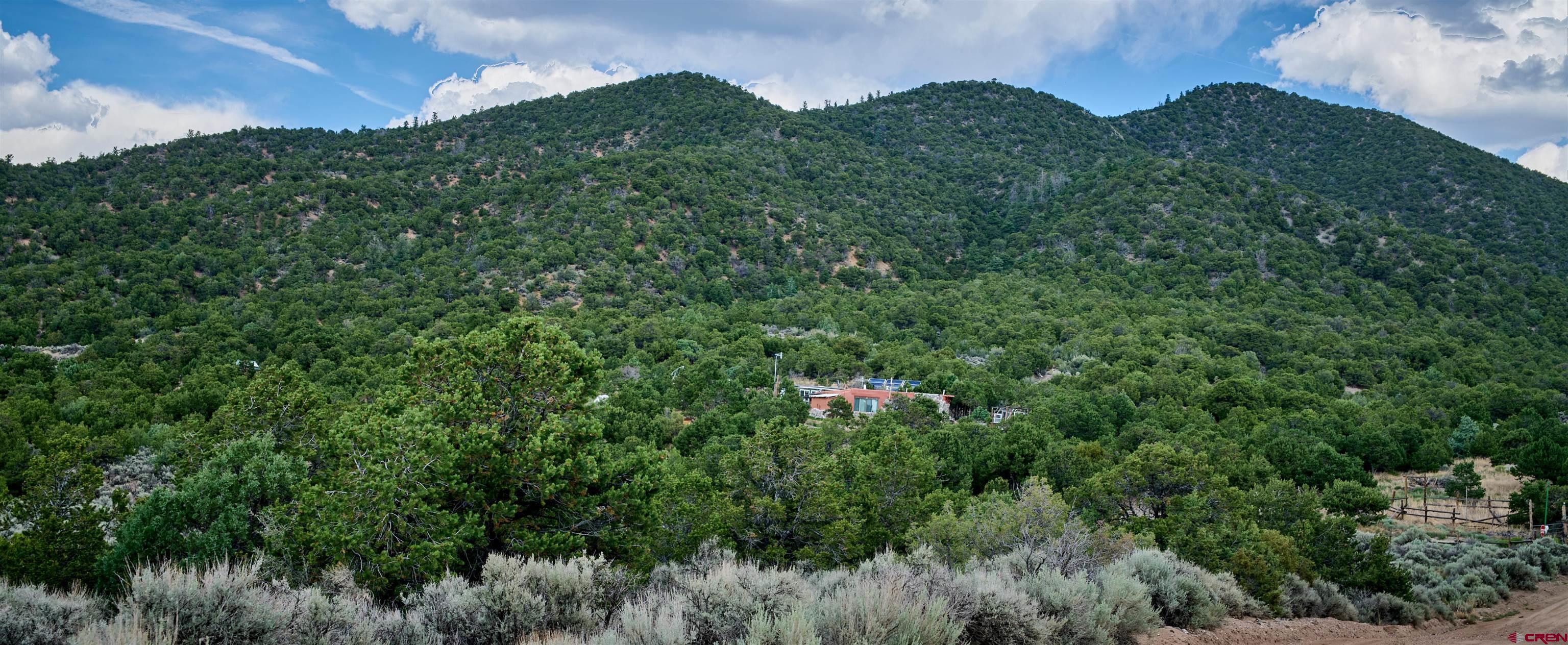 1380 Dunn Road Fort Garland, CO 81133 - Photo 30 of 45 a view of a house with a lush green forest