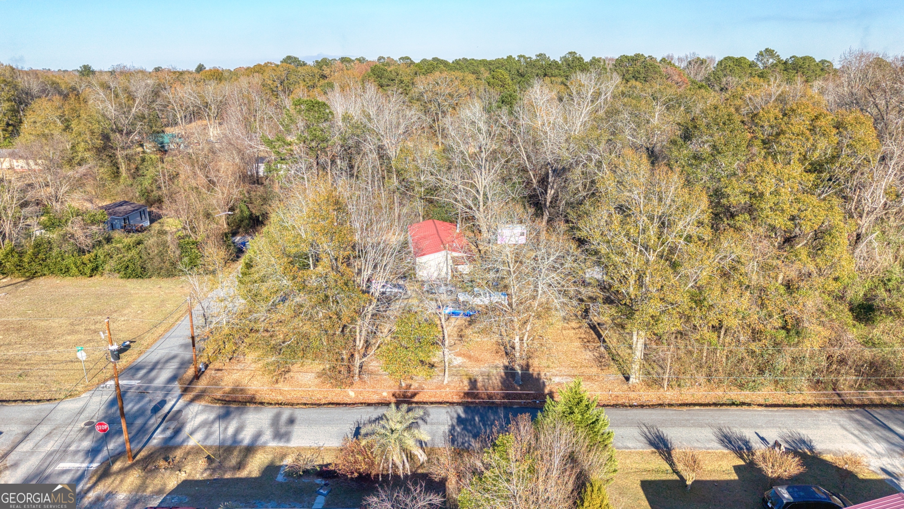 0 Woodard Dublin, GA 31021 - Photo 3 of 23