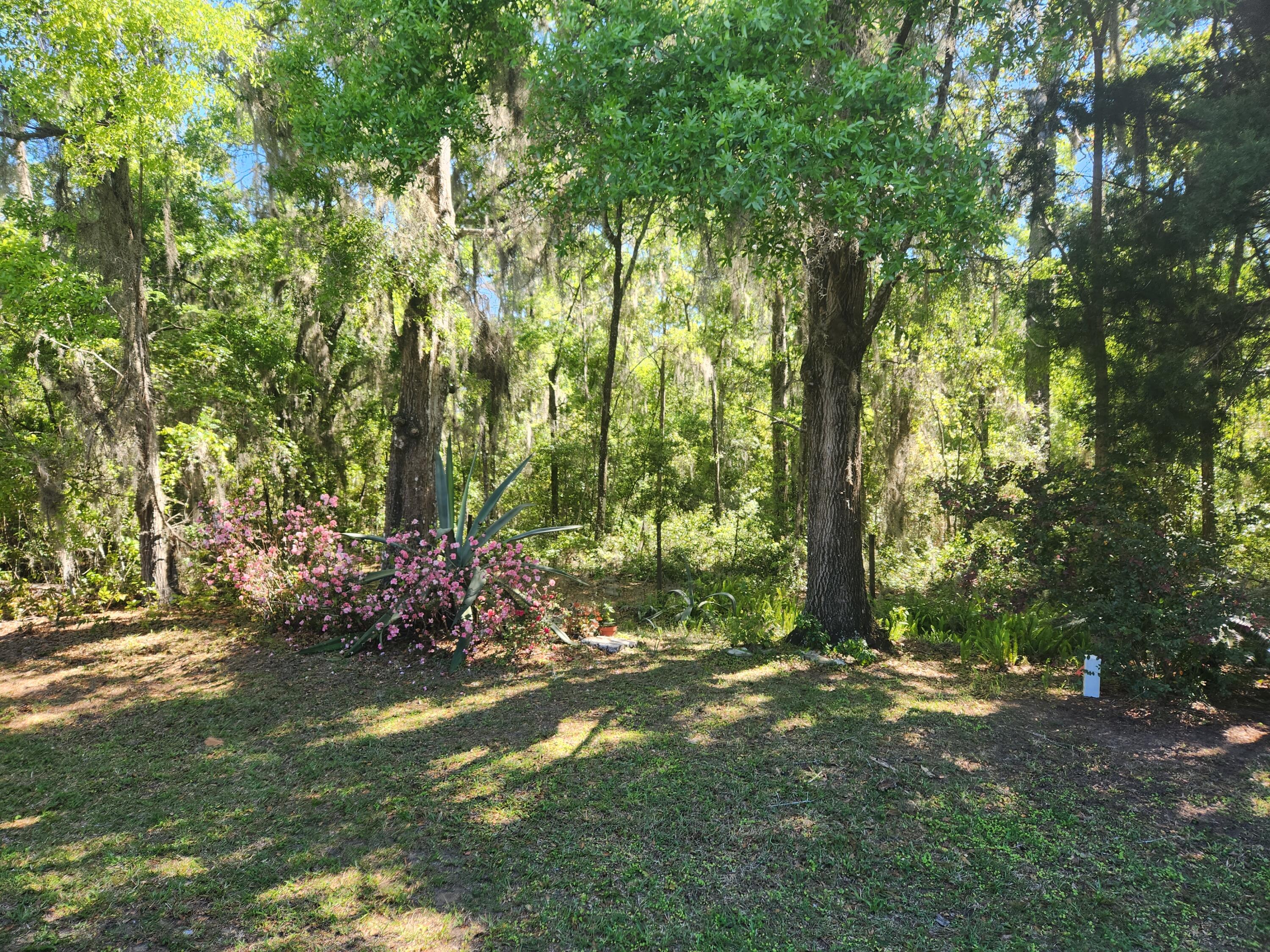 1854 Juneberry Lane Inverness, FL 34453 - Photo 27 of 35 20240319_113314