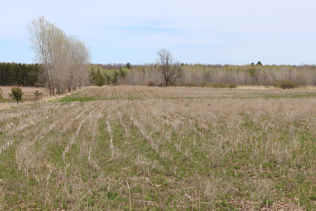 Kolberg Road Forestville, WI 54213 - Photo 1 of 1