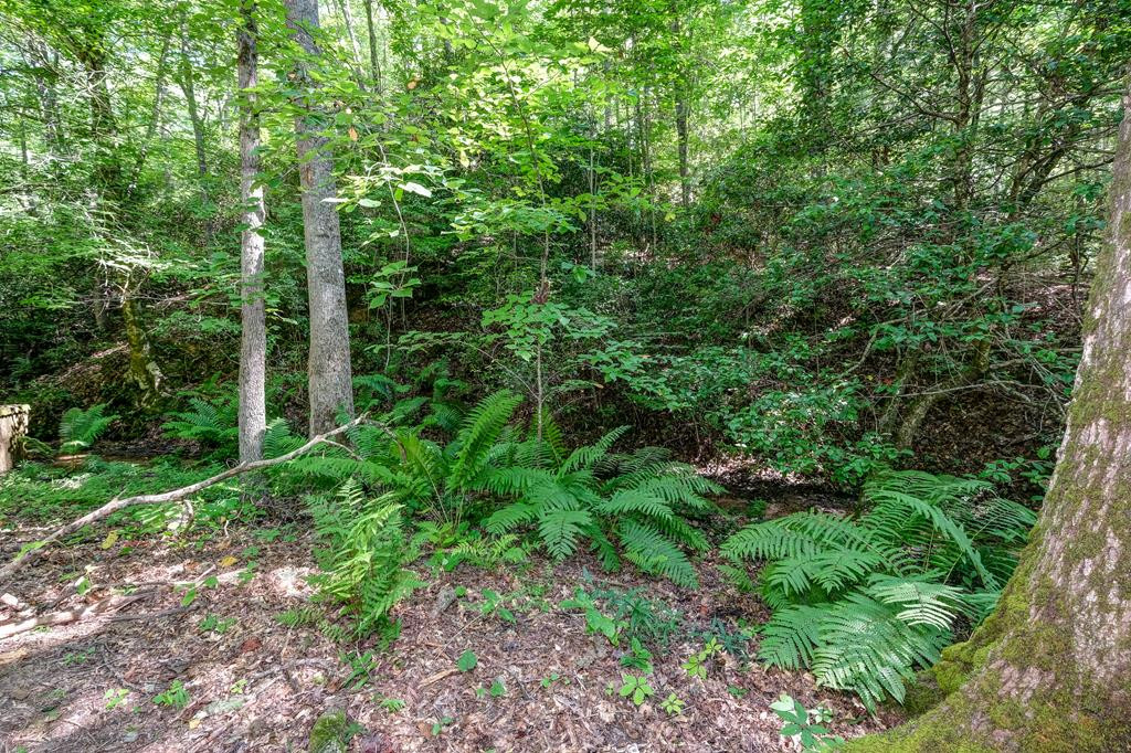 2785 Sunny Point Road Murphy, NC 28906 - Photo 32 of 43