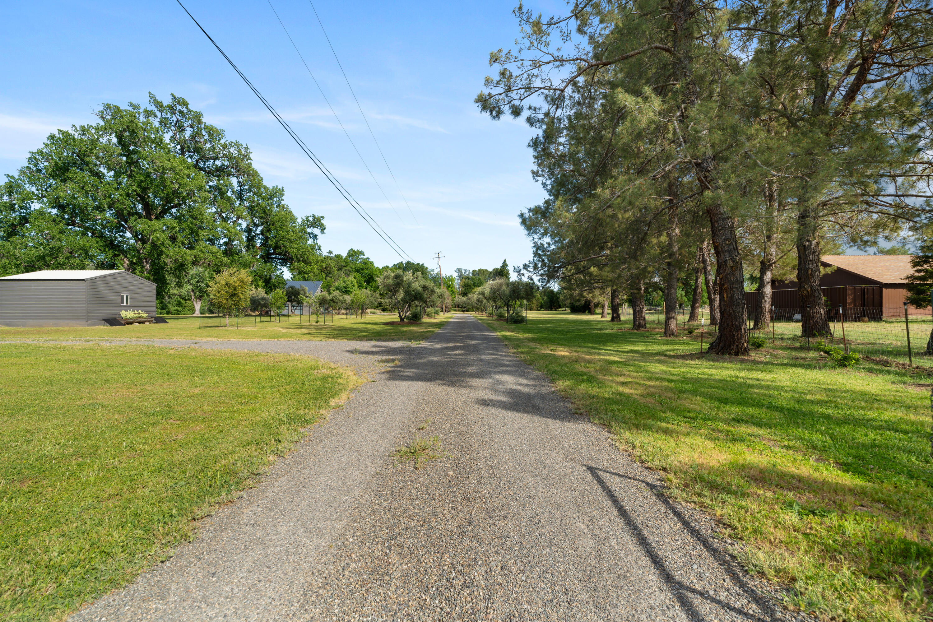 23204 Placid Road Palo Cedro, CA 96073 - Photo 56 of 71 a view of a park with tree s