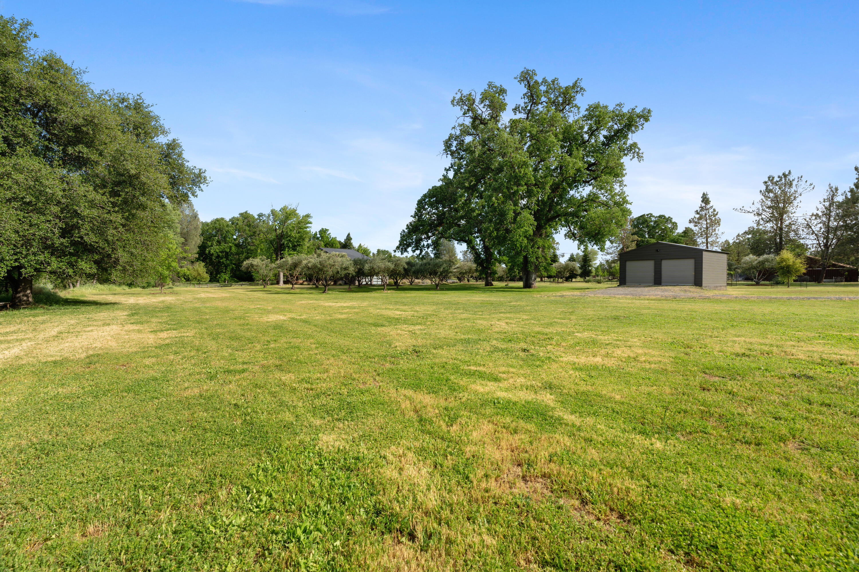 23204 Placid Road Palo Cedro, CA 96073 - Photo 57 of 71 a view of a green field with trees in the background