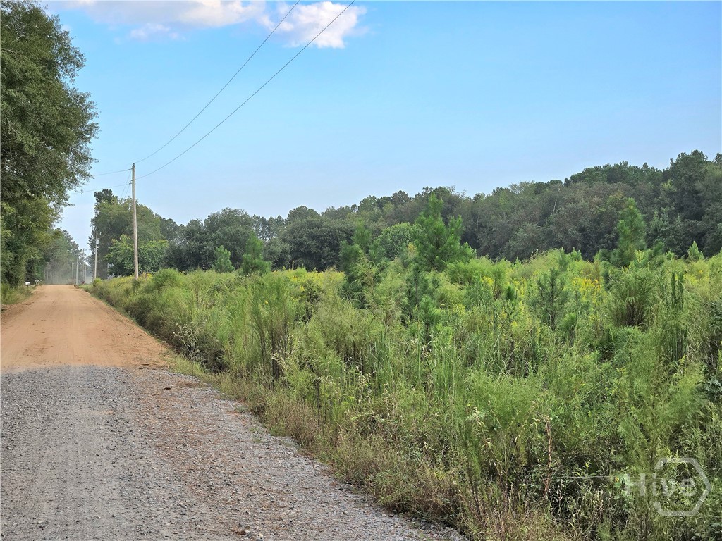 0 G W Oliver Road Statesboro, GA 30458 - Photo 12 of 13