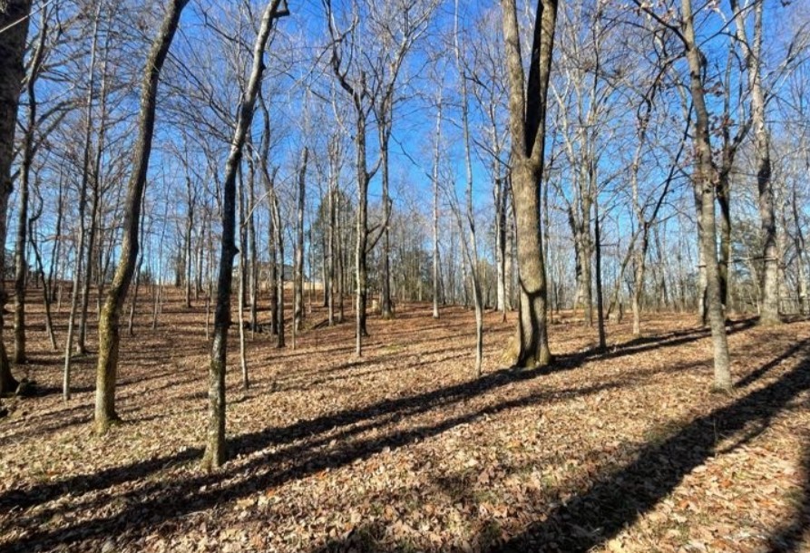 1875 Bakers Grove Road Hermitage, TN 37076 - Photo 4 of 7