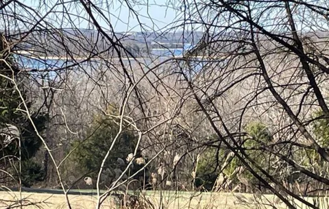 $250,000 | 1875 Bakers Grove Road, Hermitage, TN 37076