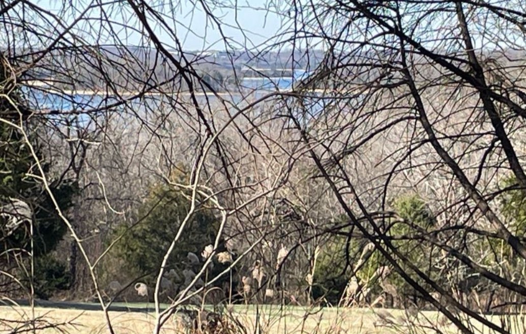 1875 Bakers Grove Road Hermitage, TN 37076 - Photo 6 of 7