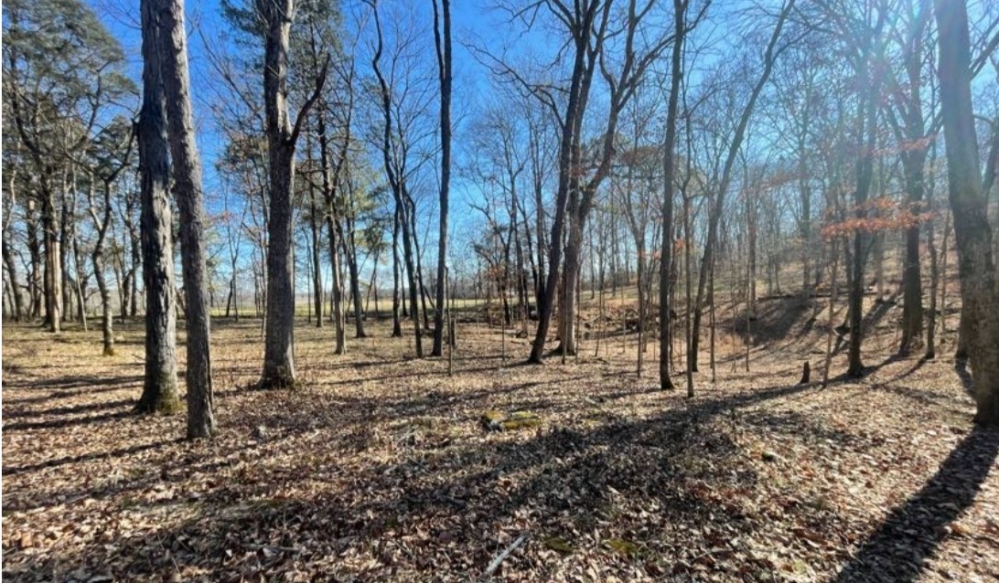 1875 Bakers Grove Road Hermitage, TN 37076 - Photo 7 of 7