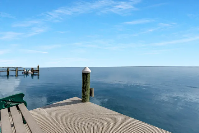 a view of a back yard