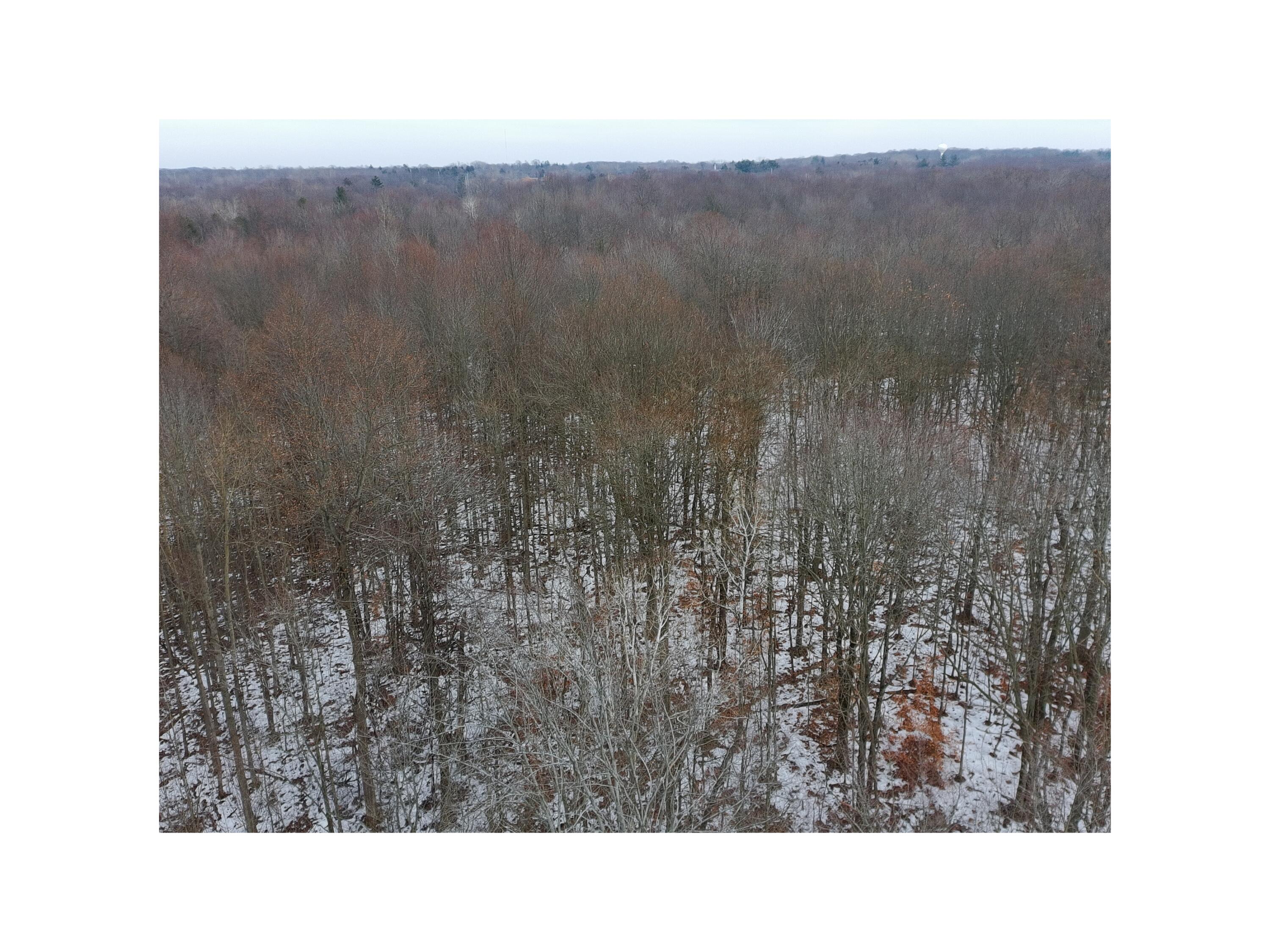 34919 76th Street Covert, MI 49043 - Photo 5 of 7 4