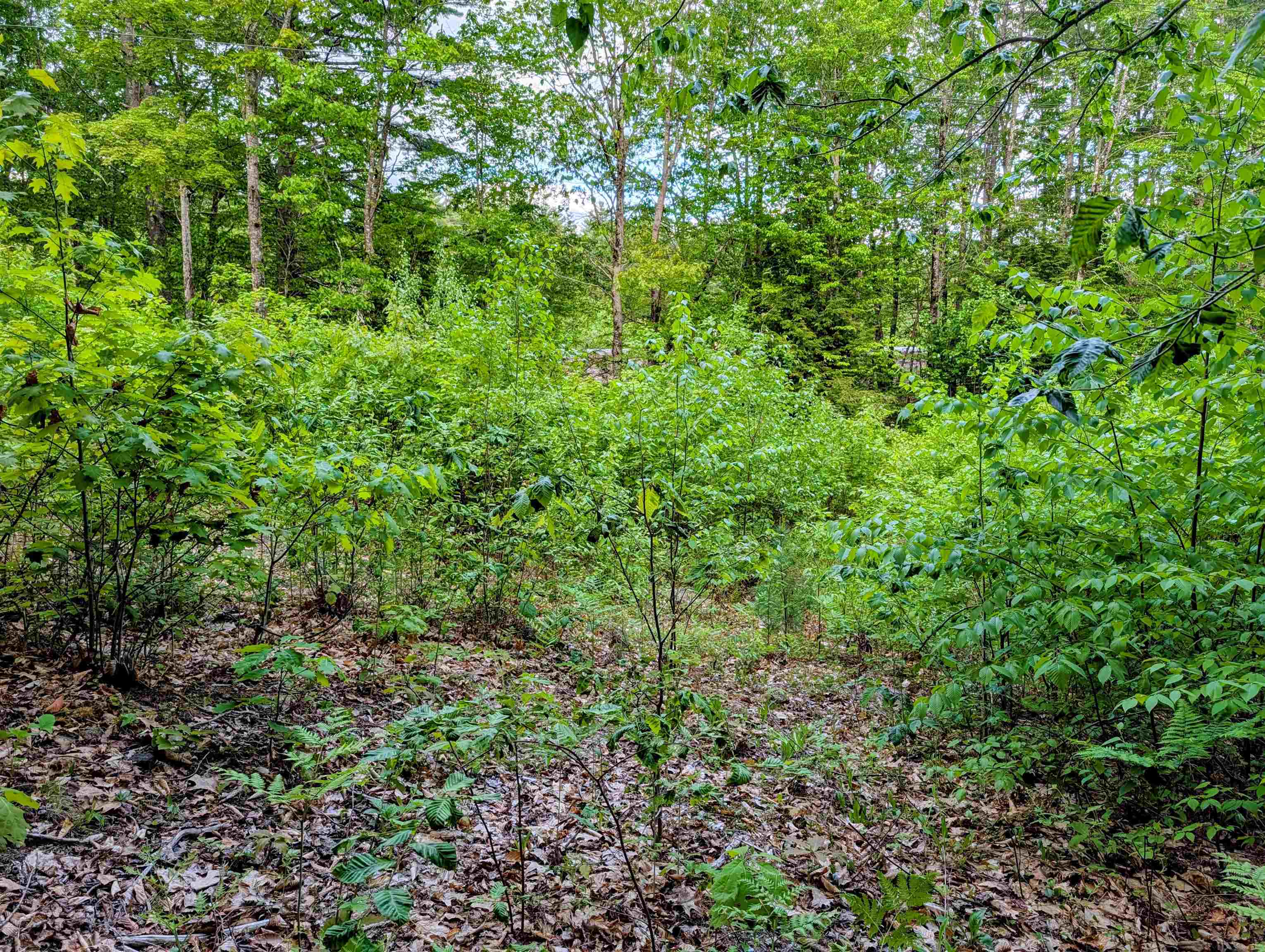 0 Access Road Sanbornville, NH 03872 - Photo 3 of 4