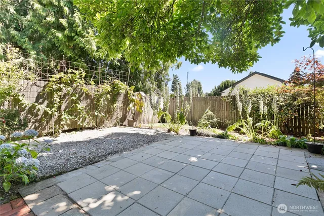 a view of a yard with plants and trees