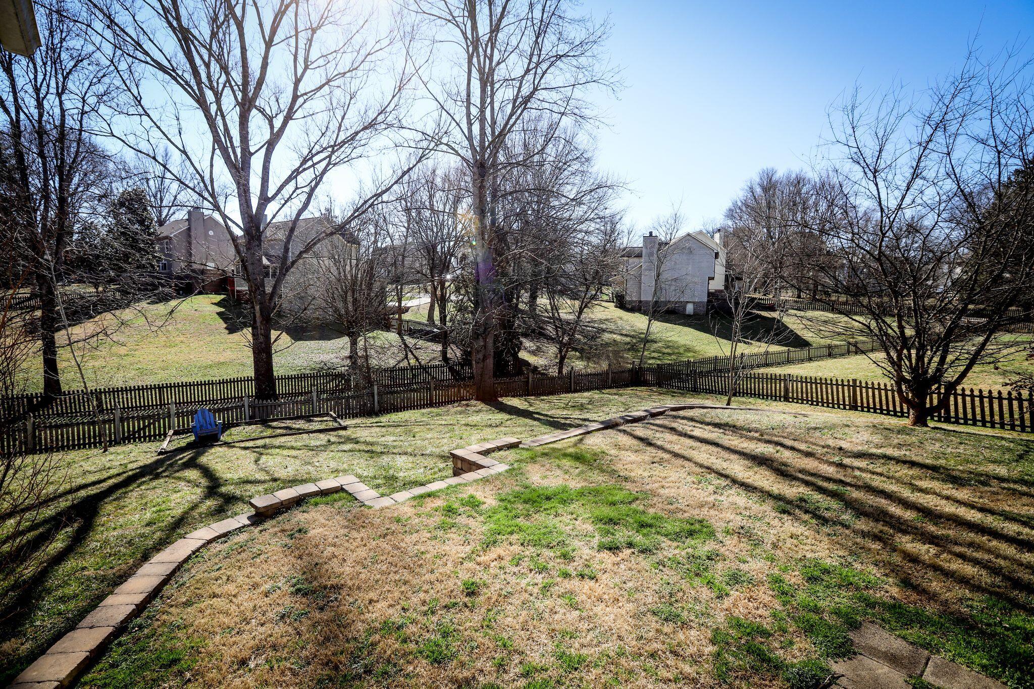 chelsea back yard