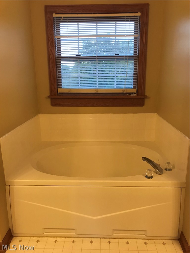 8770 North Kane Road Wadsworth, OH 44281 - Photo 22 of 29 Garden tub