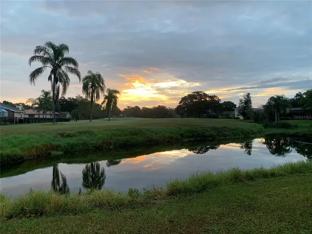 a view of a lake with a yard