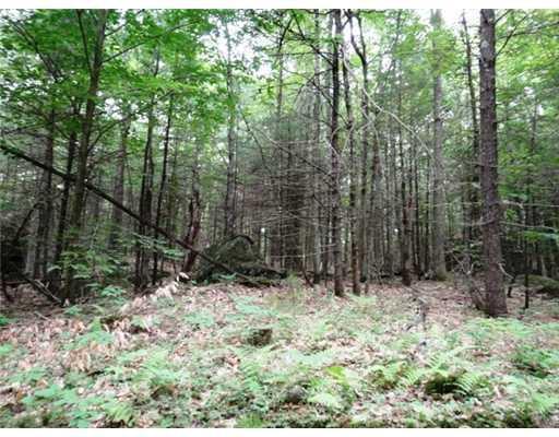 0 Moose Run Road Wayne, ME 04284 - Photo 1 of 2 Land/Lot.
