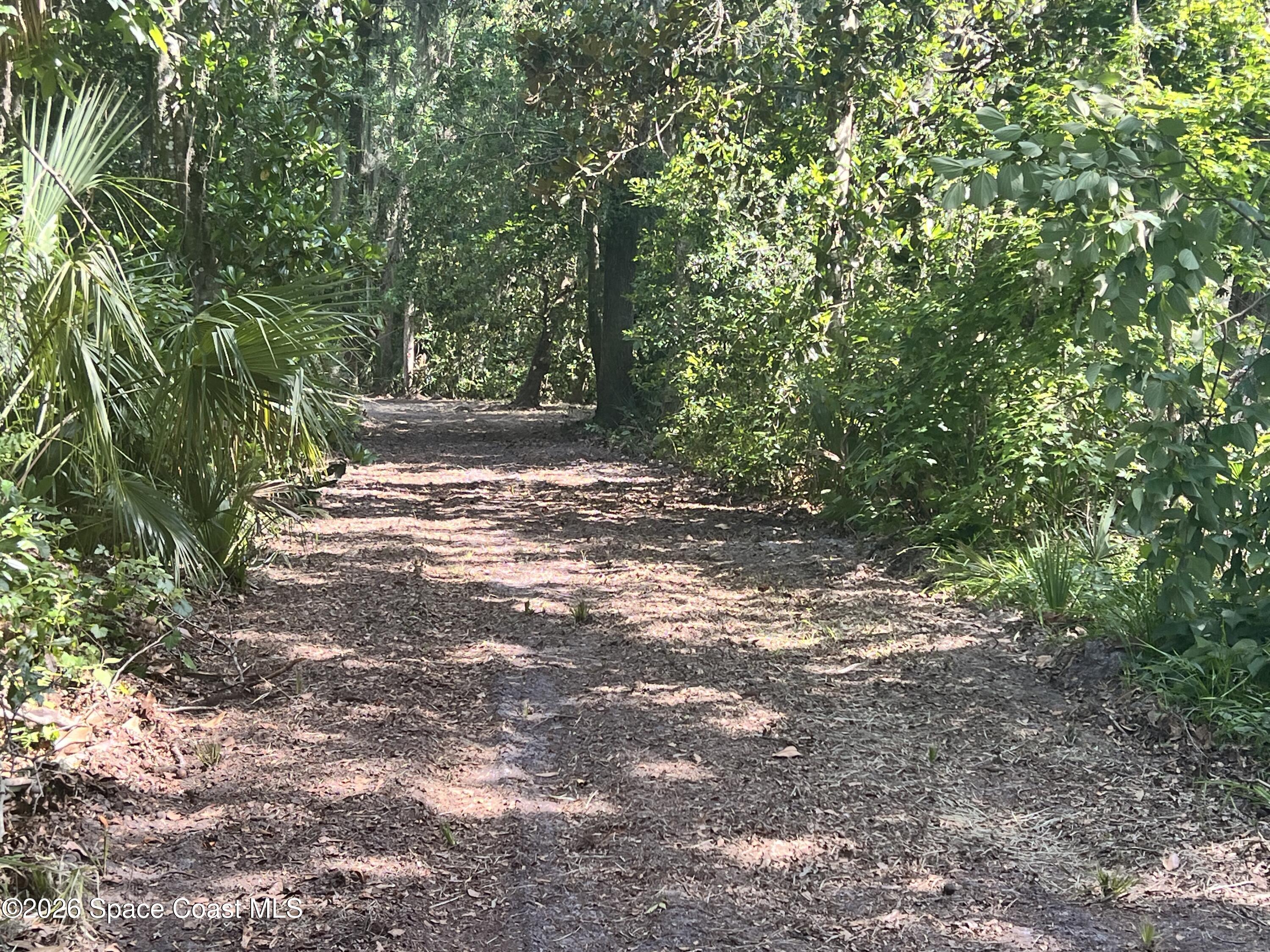 0 Carter Road Mims, FL 32754 - Photo 11 of 25 IMG_5382