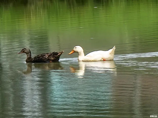 $249,000 | 2517 Cherrybark Lane, Flora, IL 62839