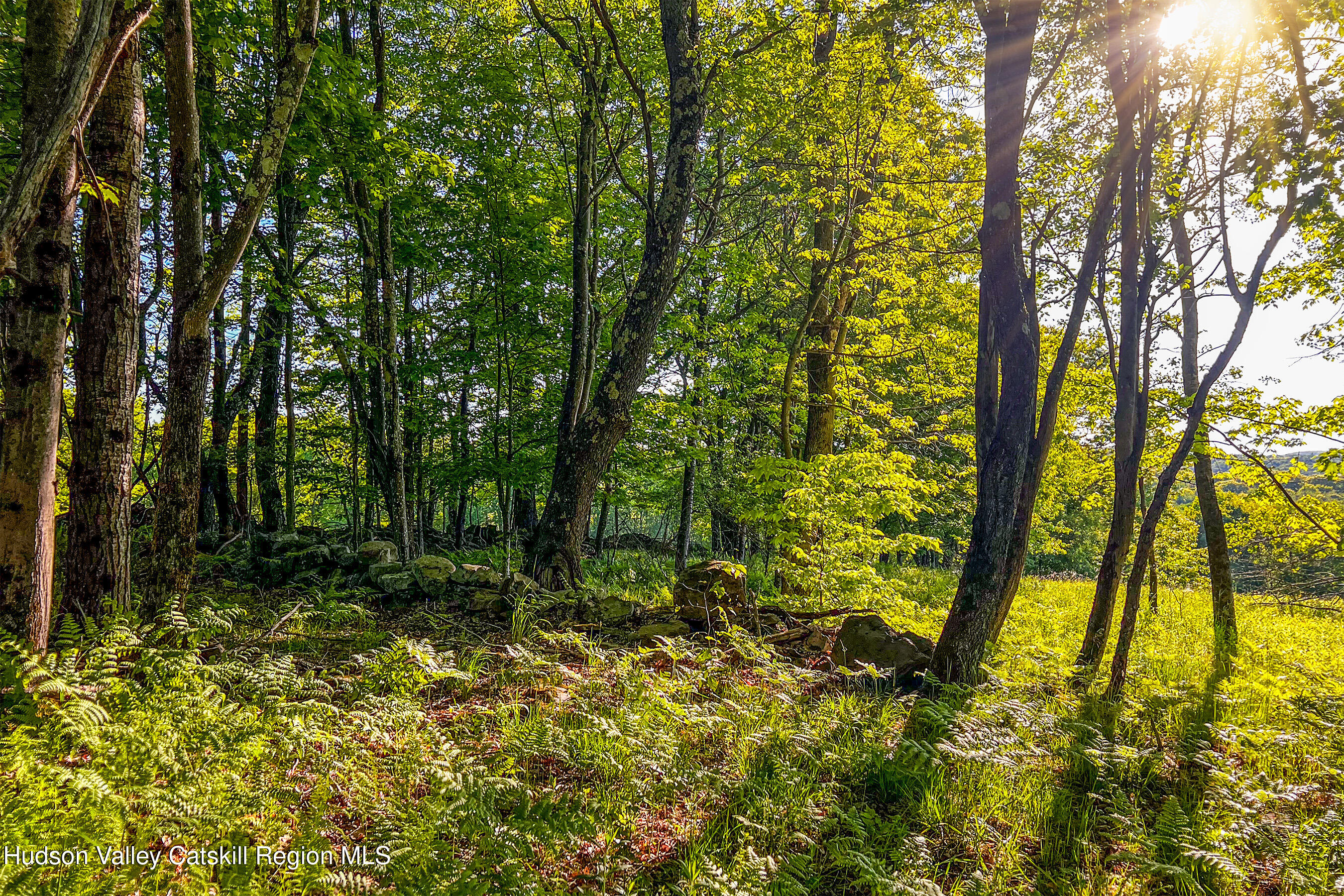 0 Frank Slawson Road Oneonta, NY 13820 - Photo 23 of 29 IMG_3433-Edit-Edit