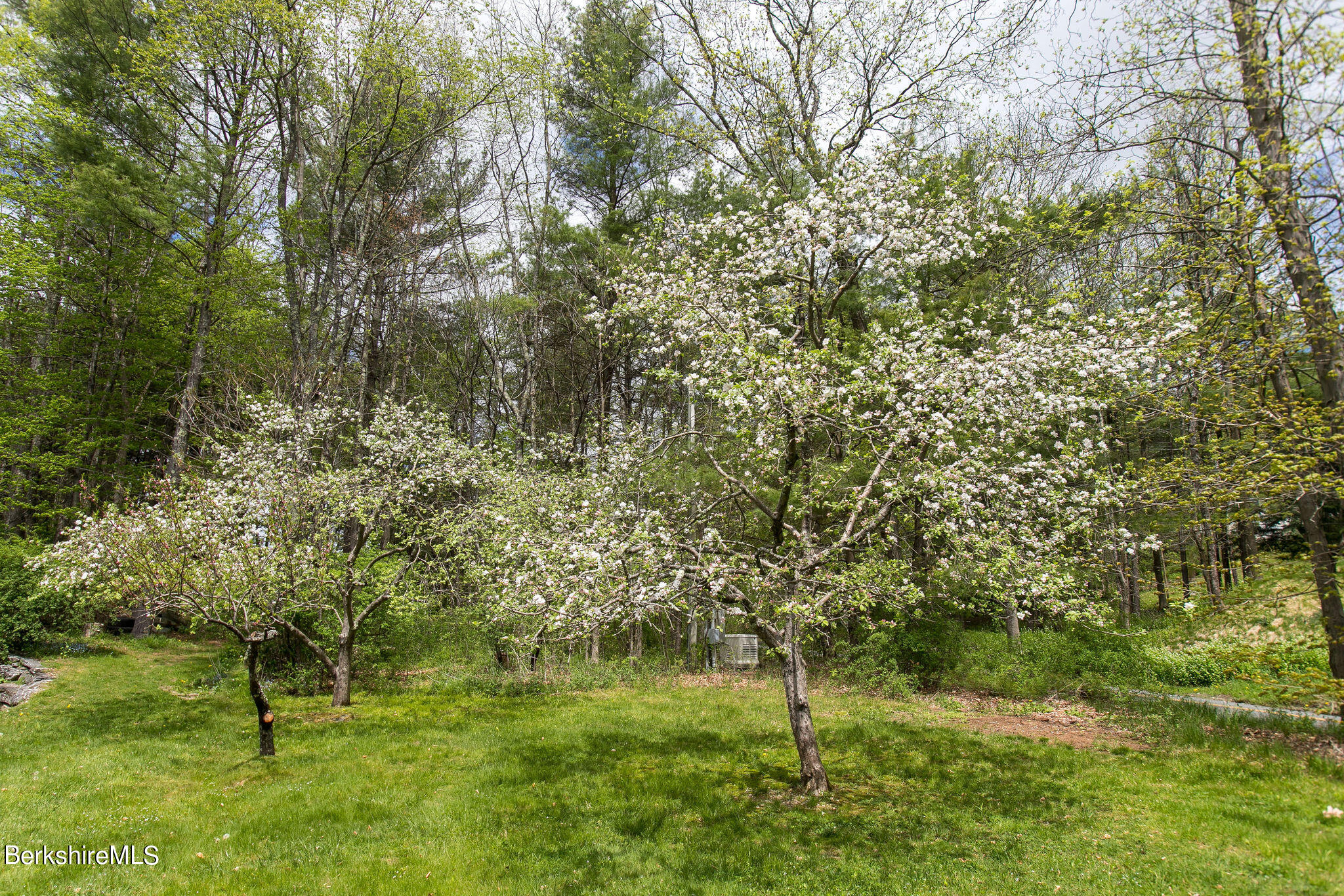 15 W Road Alford, MA 01266 - Photo 56 of 64 a view of yard with green space