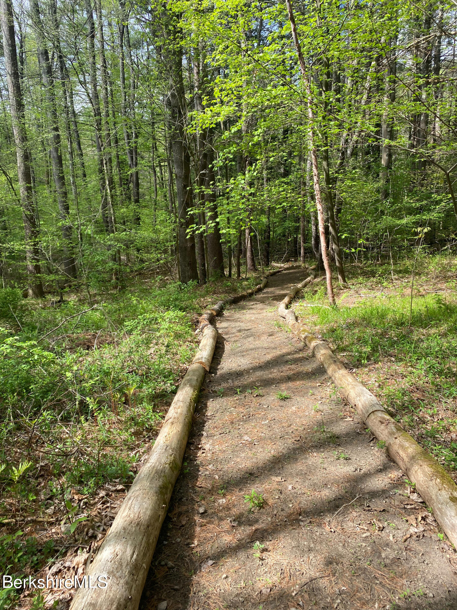 15 W Road Alford, MA 01266 - Photo 57 of 64 a backyard of a house with lots of green space