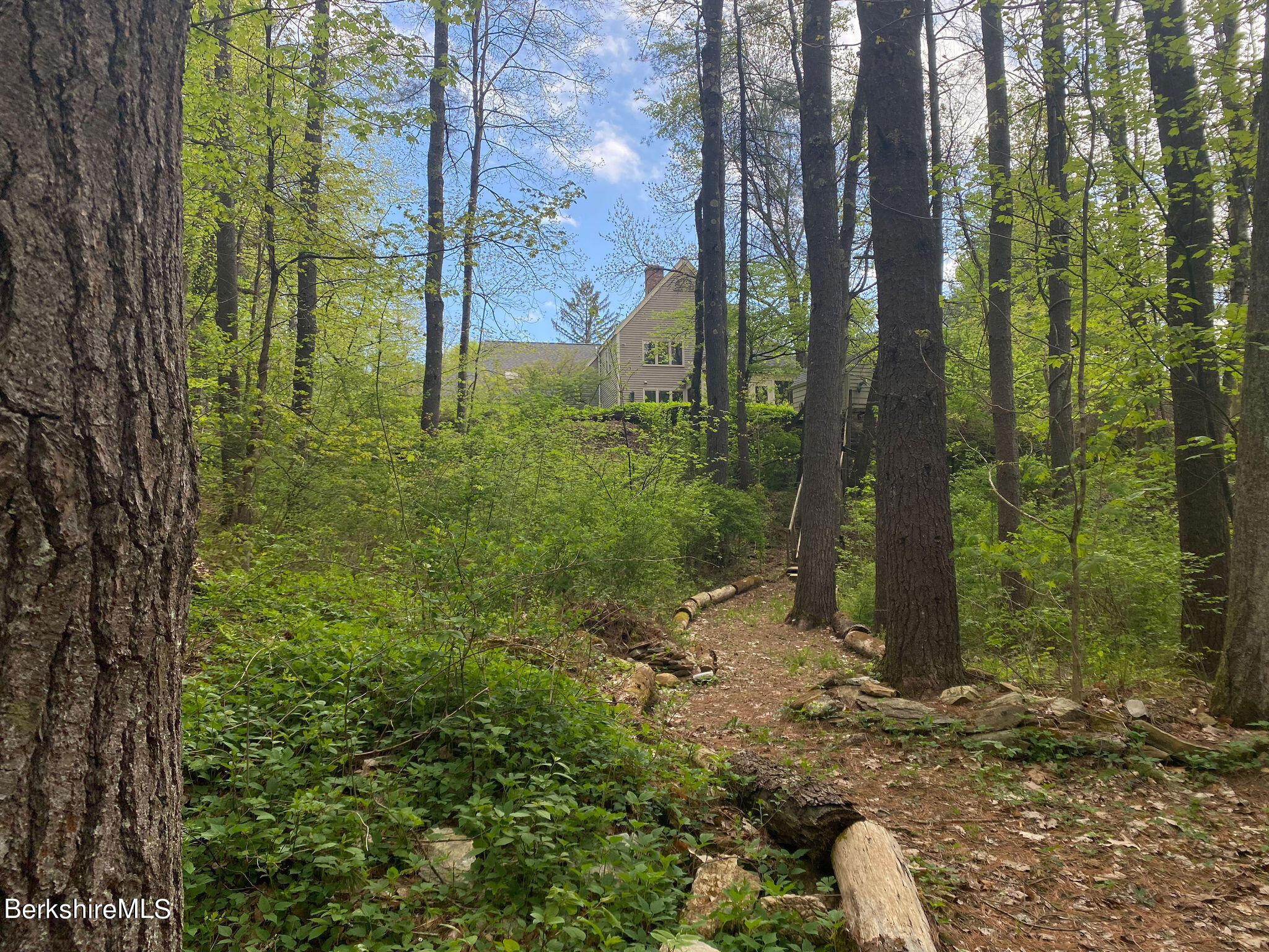 15 W Road Alford, MA 01266 - Photo 60 of 64 a view of a garden with trees