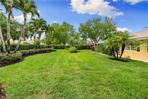 a view of a garden with a tree