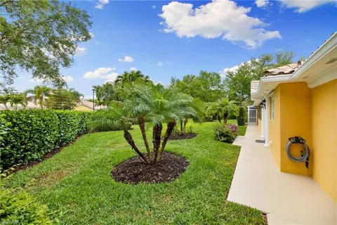 a view of a yard with plants and a fountain