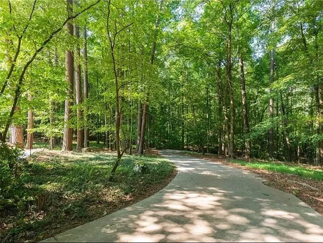 a view of a park with large trees
