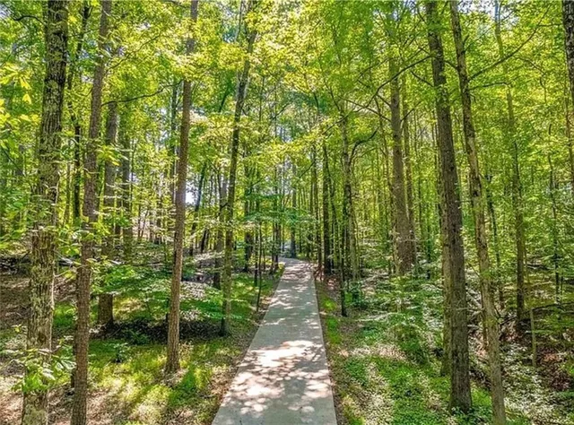 a backyard of a house with lots of plants and trees