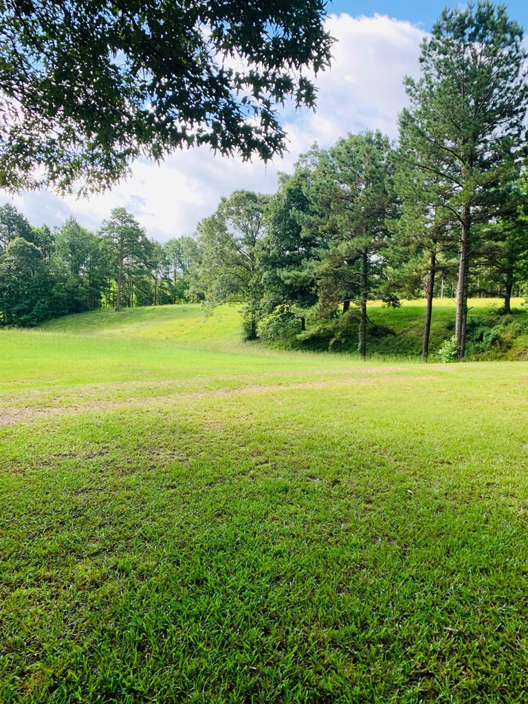 129 Al Carney Road Monticello, MS 39654 - Photo 18 of 33 Photo 18
