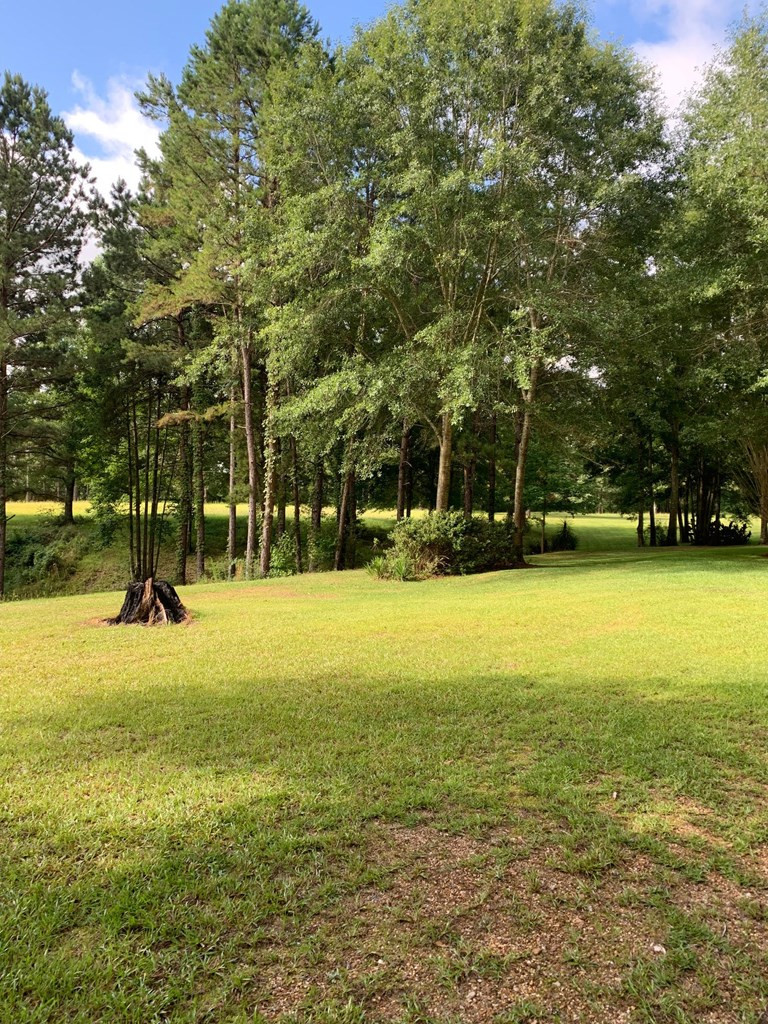 129 Al Carney Road Monticello, MS 39654 - Photo 24 of 33 Photo 24