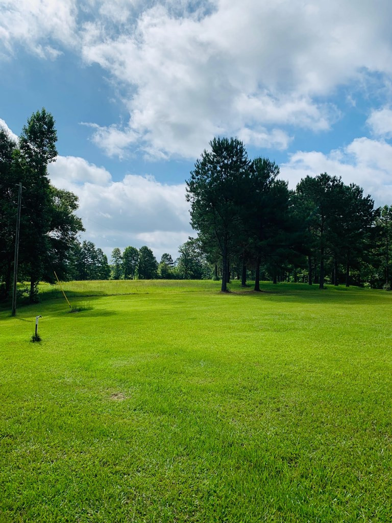 129 Al Carney Road Monticello, MS 39654 - Photo 25 of 33 Photo 25
