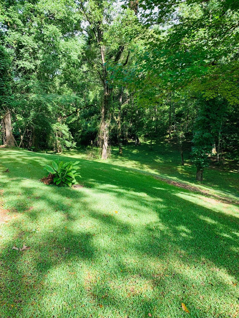 129 Al Carney Road Monticello, MS 39654 - Photo 26 of 33 Photo 26