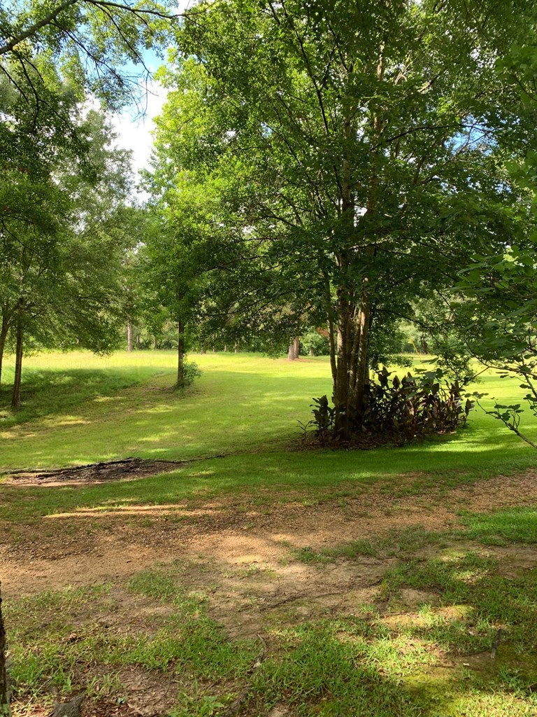 129 Al Carney Road Monticello, MS 39654 - Photo 28 of 33 Photo 28