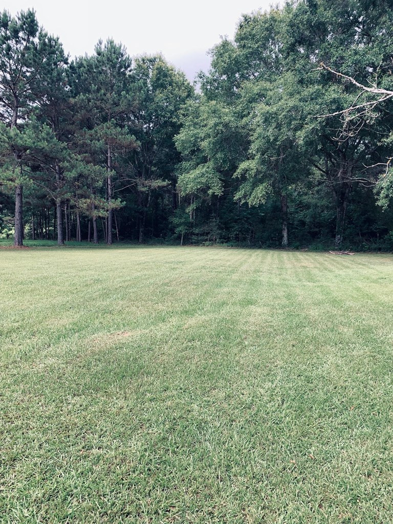 129 Al Carney Road Monticello, MS 39654 - Photo 33 of 33 Photo 33