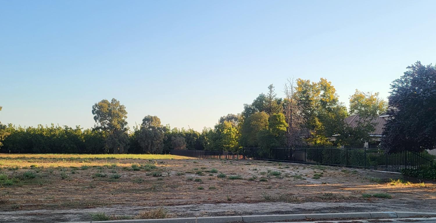290 Lee Road Nicolaus, CA 95659 - Photo 2 of 7