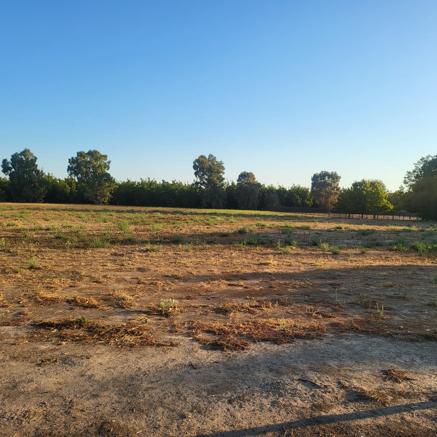 290 Lee Road Nicolaus, CA 95659 - Photo 4 of 7