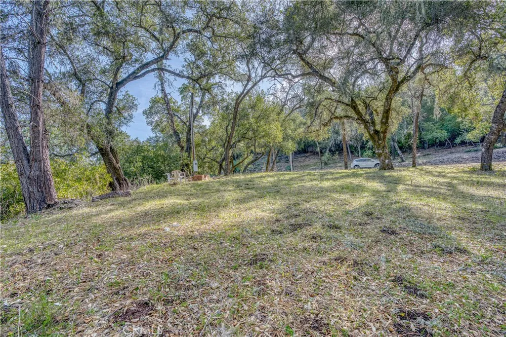 0 Running Deer Road Paso Robles, CA 93446 - Photo 11 of 29 Gallery Image 11