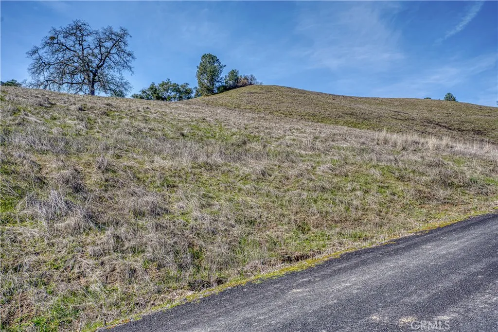 0 Running Deer Road Paso Robles, CA 93446 - Photo 13 of 29 Gallery Image 13