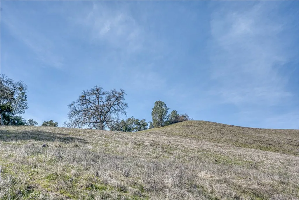 0 Running Deer Road Paso Robles, CA 93446 - Photo 14 of 29 Gallery Image 14
