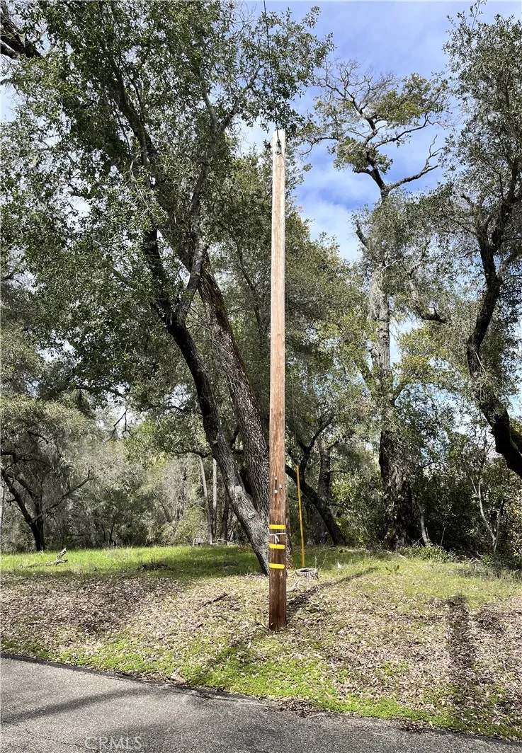 0 Running Deer Road Paso Robles, CA 93446 - Photo 24 of 29 Gallery Image 24